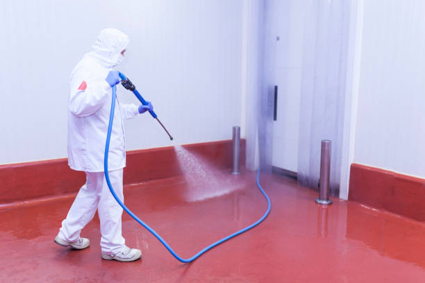 Best Driveway Pressure Washing  in Long Branch, NJ